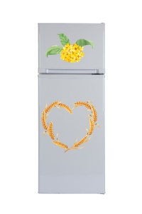 Réfrigérateur compact BCD-178 avec congélateur supérieur et froid inférieur, 6,28 pieds cubes, compatible avec panneaux solaires (système solaire non inclus) - Product Image 2
