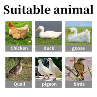 Aliment Démarrage pour Poussins du Premier Jour, Convient pour Différentes Tailles