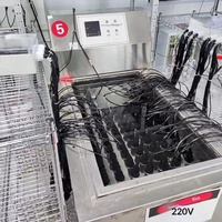 Sonda Digital 3 en 1 para Medir pH, Oxígeno Disuelto y Temperatura, BSK-PD-100, para Aguas Residuales, Agua de Mar, Acuicultura, Calidad del Agua