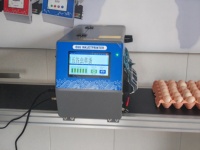 Imprimante jet d'encre pour codage sur coquille d'œuf, machine industrielle de marquage d'œufs, impression de données variables sur œufs frais pour grandes exploitations avicoles