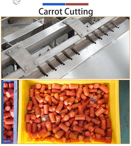 Machine commerciale de découpe de têtes et de queues de carottes 1000 kg/h, ligne de découpe et de finition des extrémités de carottes et de radis pour usine de transformation - Product Image 2
