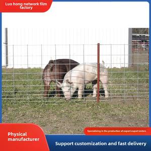 제조업체 맞춤형 돼지 패널 수출 용접 메쉬 시트 핫 디핑 멧돼지 메쉬 2,4,6, 8 인치 메쉬 - Product Image 5