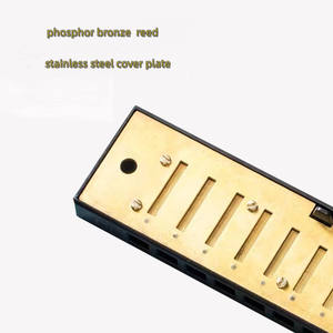 <span class=keywords><strong>Harmonica</strong></span> diatonique à 10 trous Blues, <span class=keywords><strong>prix</strong></span> de gros, recommandé pour les débutants, plaque de couverture en acier inoxydable - Product Image 6