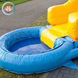 Chine pas cher prix géant <span class=keywords><strong>toboggan</strong></span> <span class=keywords><strong>avec</strong></span> <span class=keywords><strong>piscine</strong></span> extérieure adulte <span class=keywords><strong>grande</strong></span> <span class=keywords><strong>piscine</strong></span> de glissière d'eau - Product Image 4