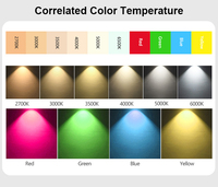Bande LED COB RVB RVBW RGBCW adressable Dream Color DC5V 12V 24V, éclairage flexible sans soudure pour installation architecturale