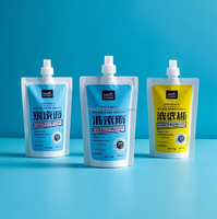 Support en plastique recyclable Doypack savon liquide 150ml 250ml 500ml 32 FlOz savon pour les mains et détergent à lessive avec bec verseur pour masques faciaux