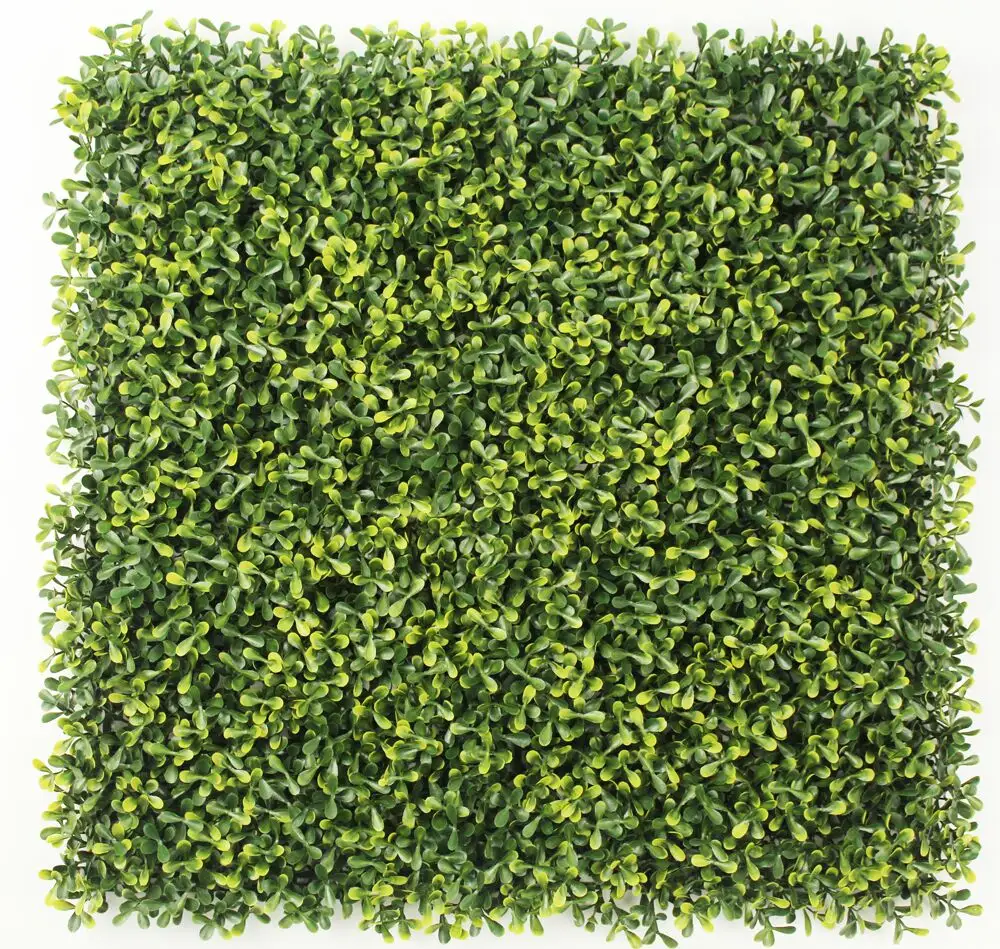 Latest Designs New Model TV Shopping Assembling Hedge Green Plant Artificial Backdrop Grass Wall