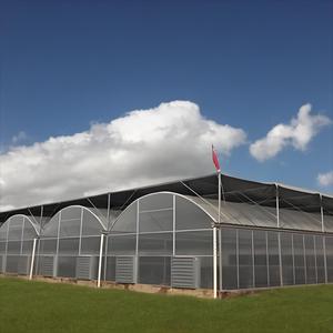 Nhà kính nông nghiệp Polycarbonate lớn 10mm cho canh tác thủy canh dễ dàng lắp đặt vật liệu nhựa thép đơn nhịp cho - Product Image 1