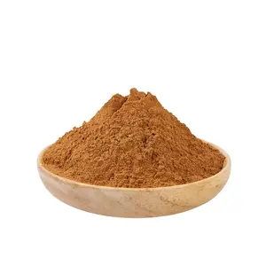 Organic Lion's Mane Mushroom Supplements Mushroom Powder Free Sample