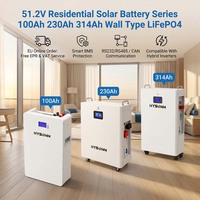 Série de batteries solaires résidentielles Hysonn 51,2 V 100 Ah 230 Ah 314 Ah type mural LiFePO4 pour installateurs et distributeurs OEM ODM