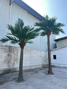 Ven biển ngoài trời Vườn sợi thủy tinh nhân tạo cọ và cây dừa cho lễ kỷ niệm sinh nhật sống vật liệu cho cảnh hồ bơi - Product Image 5