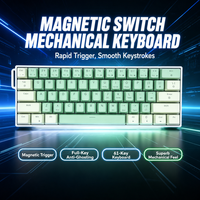 Clavier de jeu à 61 touches remplaçables à chaud avec touches imprimées latéralement, clavier mécanique à interrupteurs magnétiques pour ordinateur portable, PC, clavier pour joueurs