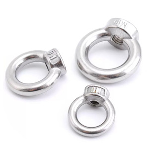 Wanqian Fasteners 304 Stainless Steel Eye Nuts M3 M36 Ring Type DIN582 Marine Hardware - Product Image 1