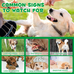 Gran venta al por mayor de golosinas digestivas para mascotas, suplementos probióticos, masticables para perros, salud intestinal, alergia, alivio de la picazón - Product Image 5