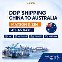 Transitaire professionnel Chine-France, agent d'expédition DDP, transport aérien express, transport maritime, agent de dédouanement pour l'Australie