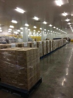 Cámara Frigorífica para Pescado con Compresor Frascold y Componentes Centrales de Caja de Cambios/Rodamientos