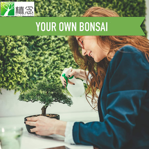 <span class=keywords><strong>Kit</strong></span> de iniciación de irthday, 2023 - Product Image 5