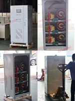 Estabilizador de Voltaje CA Totalmente Automático SBW-H-100KVA 220V 380V Personalizable. Aplicable a las Industrias CNC y Minerales.