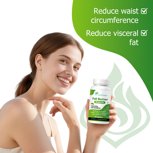 Premium Quality Fat Burner Capsules Contains Bifidobacterium Animalis Lactis Support Healthy Weight Management Slimming Capsules - Product Image 3