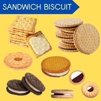 Machine de fabrication automatique de sandwich à biscuits Skywin équipement de biscuits à la crème avec machine d'emballage à flux