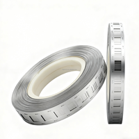 Bande de nickel au lithium 2P de 0,2 mm en acier inoxydable, accessoire de batterie 18650, bande nickelée pour la soudure par points de batterie