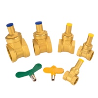 Vanne à opercule en laiton DN15~DN50, manuelle, pour usage industriel, avec clé triangulaire pour compteur d'eau, anti-vol, pour la conservation de l'eau