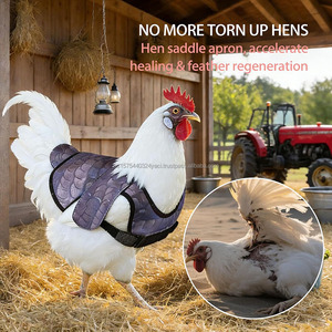 Factory Chicken Saddle Reusable Chicken Apron Feather Protector Jacket Hen Saddle Vest with Adjustable Strap Hen Mating Saddle - Product Image 4