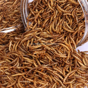 खरगोश स्नैक के लिए सूखे पीले मेल्वर्म भोजन थोक - Product Image 2