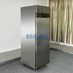 Congelatore per ristorazione in acciaio inossidabile per <span class=keywords><strong>cucina</strong></span> commerciale per conservare le verdure surgelati e conservazione dei pasti pronti - Product Image 2