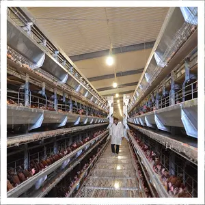 Chicken Automatic Galvanized Battery Laying Hens Chicken Layer Cage