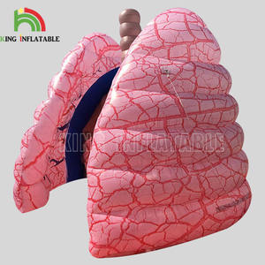 Pendidikan Medis Kanker Paru-paru, Kelas Biologi Sekolah Pelatihan Medis Model Paru-paru Raksasa Tiup - Product Image 3