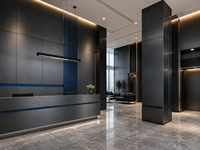 Tôle d'acier inoxydable colorée PVD ZhuoYe 304, plaque décorative en acier inoxydable couleur or titane pour la décoration d'ascenseurs