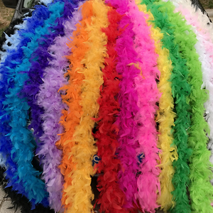 Lot de 2 m de boas en plumes de carnaval Mardi Gras – Accessoires décoratifs de haute qualité pour spectacles, mariages et fêtes à thème - Product Image 1