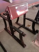 Banc de musculation XinRui pour exercices de flexion des bras, avec construction en acier inoxydable et caoutchouc, et pile de poids de 50 kg