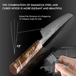 Grandsharp profesyonel 10.6 "japon 110 katmanları şam çelik mutfak bıçağı Sashimi sakiknives bıçaklar katılaşmış ahşap kolu - Product Image 5
