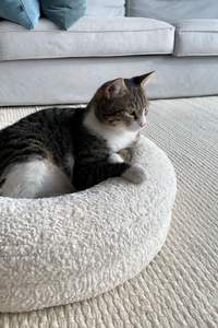 Toptan lüks Modern yuvarlak rahat kadife bellek köpük yatak soğutma köpekler kediler açık kullanım için çıkarılabilir kapak - Product Image 3