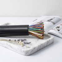 Câble téléphonique blindé extérieur rembourré de gel HYA HYTA Cat3 pour installation souterraine, 10 paires, 20 paires, 25 paires, 50 paires, 100 paires