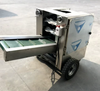 Nouvelle conception de machine à décortiquer la noix de coco à haute capacité, machine à peler la coque de noix de coco facile à utiliser pour les boissons à base de noix de coco