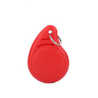 Vente en gros de porte-clés RFID NFC personnalisés 13,56 MHz en ABS avec logo, mini porte-clés vierges 125 kHz, fabrication de porte-clés