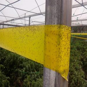 Rouleaux autocollants jaunes à colle anti-insectes 20cm x 100m, bandes de colle à double face avec films de décharge, 10 pièces - Product Image 4