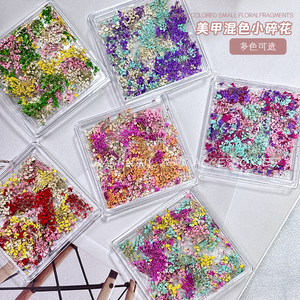 Los últimos productos de <span class=keywords><strong>uñas</strong></span> 3D de mini <span class=keywords><strong>flores</strong></span> <span class=keywords><strong>naturales</strong></span> reales, pegatinas de <span class=keywords><strong>flores</strong></span> secas, diseños de dijes de manicura <span class=keywords><strong>para</strong></span> accesorios de <span class=keywords><strong>uñas</strong></span> - Product Image 2