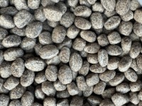 Barres de céréales instantanées croustillantes à base de protéines de cacao et de soja, riches en protéines, pour applications alimentaires, 18 kg par carton, 18 mois
