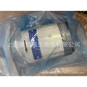 Pompe à engrenages à piston Parker d'origine importée 09111381 PGP502A0079CH1H1NE3E2B1B1, état neuf - Product Image 1