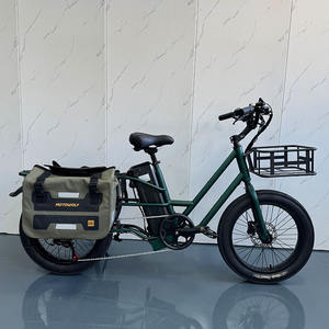 Vélo <span class=keywords><strong>cargo</strong></span> à longue queue, 48V, 500W, autonomie longue portée de 20Ah pour deux sièges bébé, vélo électrique multifonctionnel - Product Image 5