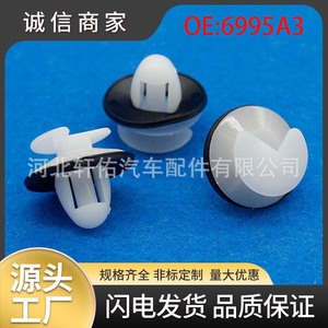 Clips de fixation pour panneaux de porte de voiture Xuanyou Auto Parts 6995A3 pour Citroën Renault Peugeot Ford - Product Image 5