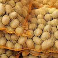 Sacs en filet plastique Leno durables pour l'emballage de palmiers, d'ail, d'oignons, de pommes de terre et de choux, en HDPE et PP, 60x90cm et 52x85cm, Rouge, Jaune, Vert