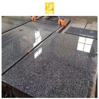 Dalles de sol en granit bleu BOTON STONE à prix de gros pour plans de travail de cuisine et comptoirs de bar