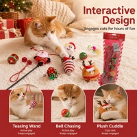 Ensemble de jouets interactifs pour chat de Noël : baguette de jeu et jouets en plastique, coffret cadeau pour chats d'intérieur