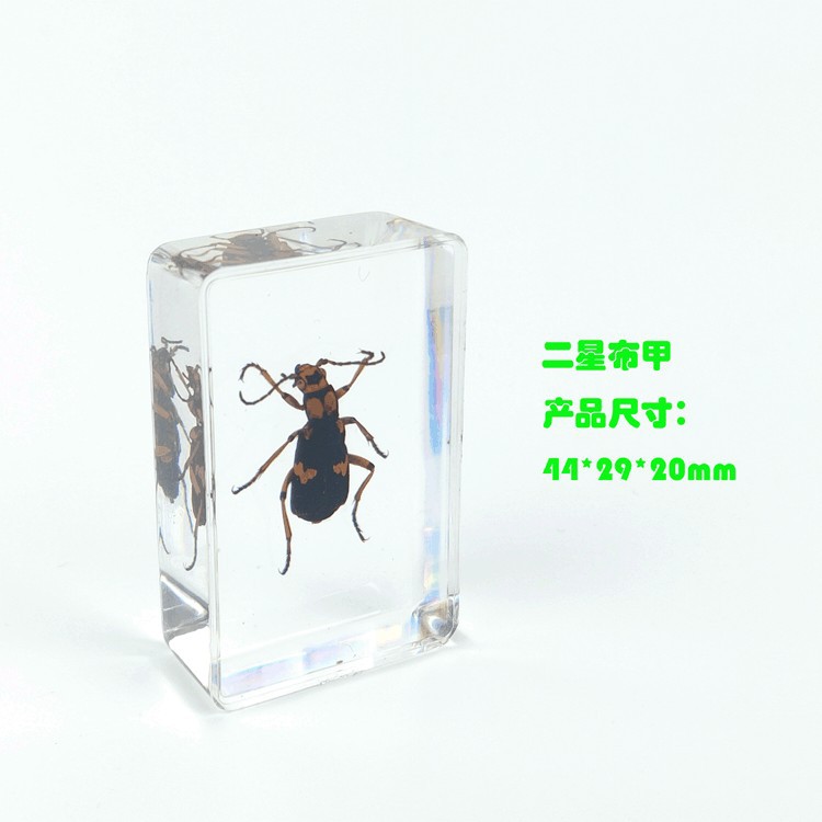 Armure en tissu Sp deux étoiles-442916mm