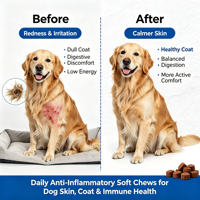 Friandises à mâcher pour chiens contre les infections à levures, soin anti-inflammatoire de la peau, à base de plantes naturelles, suppléments pour animaux de compagnie, marque privée OEM